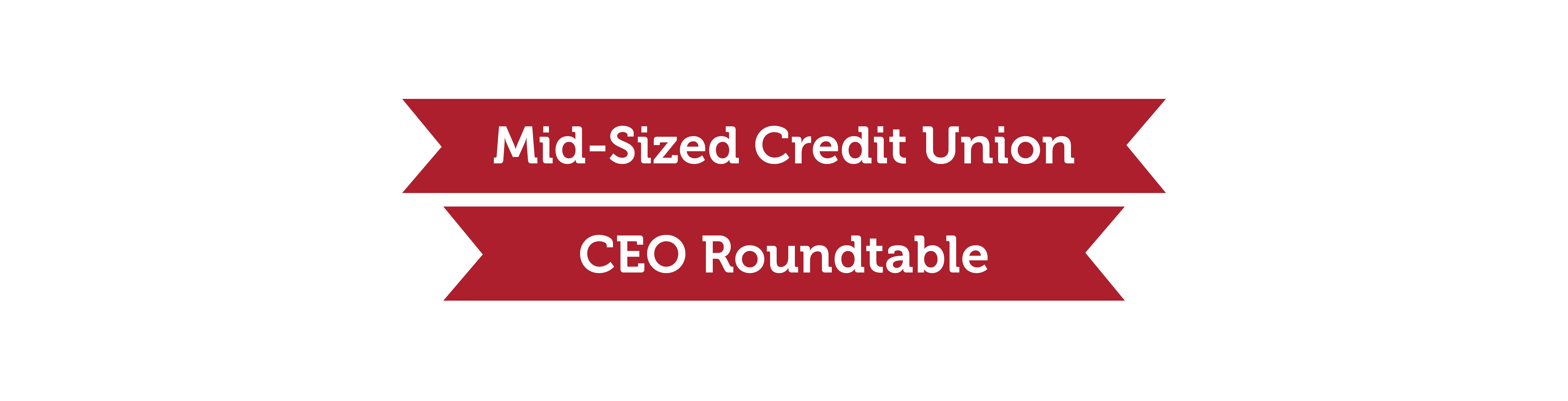 Mid-Sized credit union CEO Roundtable