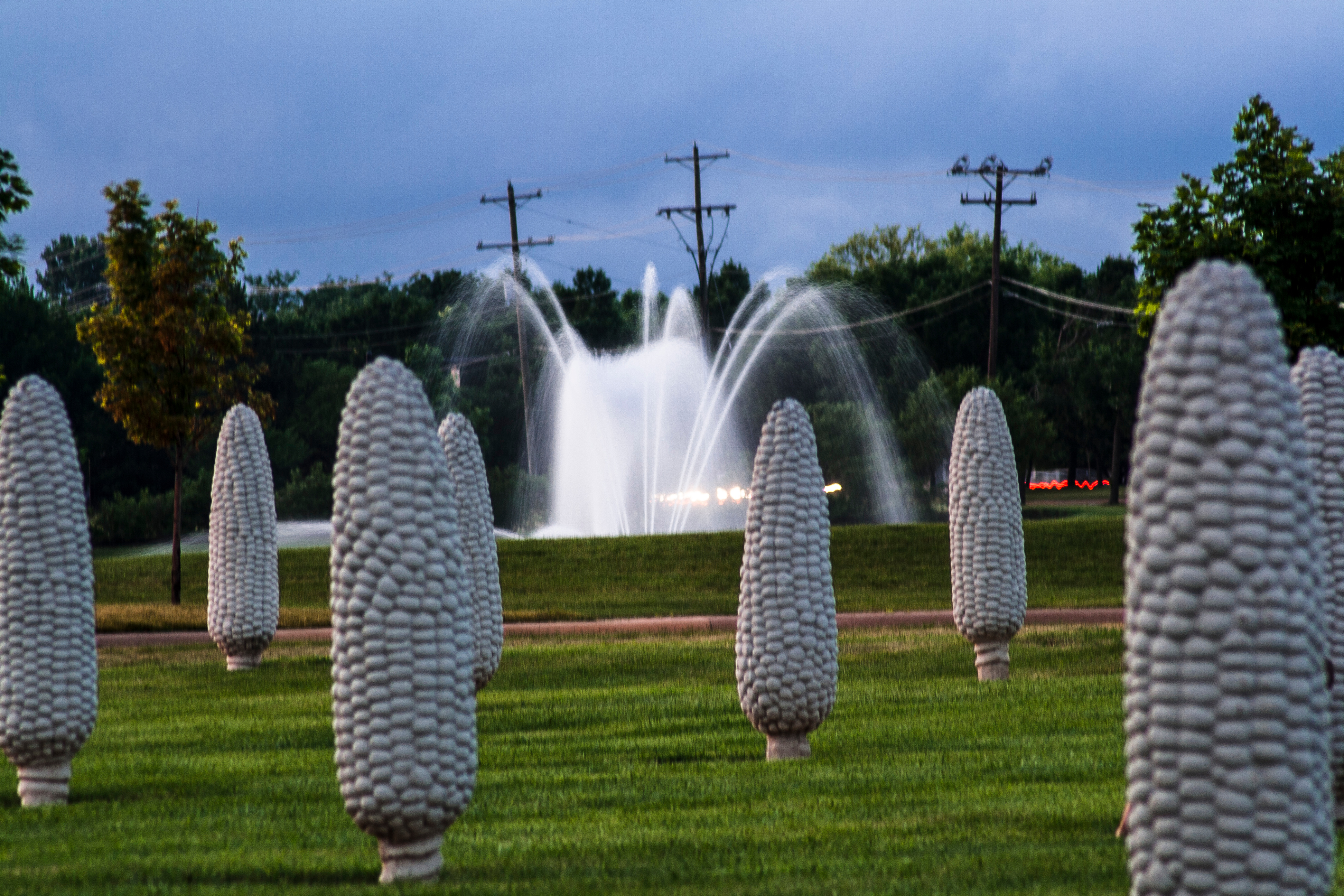 Dublin Ohio Field of Corn
